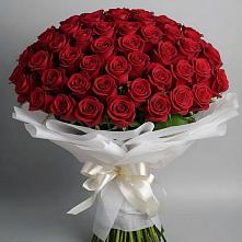 Букет 101 Красная роза Блэк Мэджик в Лоза