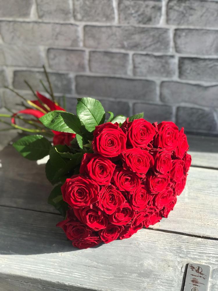 Букет Красные розы Фридом в Лоза