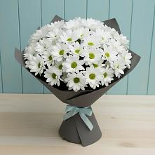 Букет цветов из:  Хризантемы в Лоза