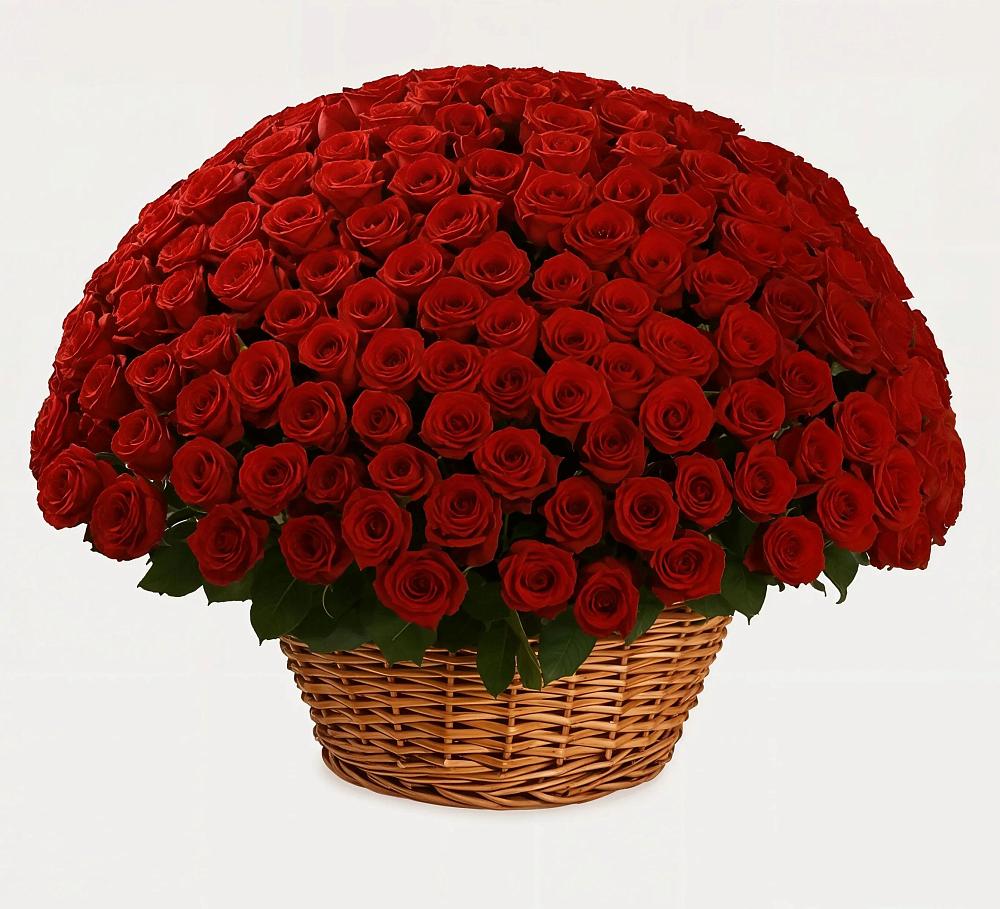 Премиум букет из: Розы в Лоза