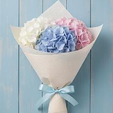 Букет цветов из:  Гортензия в Лоза