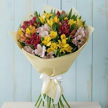 Букет цветов из:  Альстромерии в Лоза
