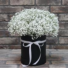 Цветочная композиция из Гипсофила в шляпной коробке в Лоза