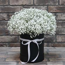 Цветочная композиция из Гипсофила в шляпной коробке в Лоза