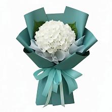 Букет цветов из:  Гортензия в Лоза